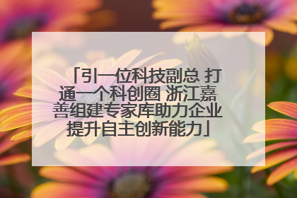引一位科技副总 打通一个科创圈 浙江嘉善组建专家库助力企业提升自主创新能力