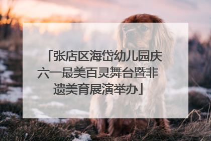 张店区海岱幼儿园庆六一最美百灵舞台暨非遗美育展演举办
