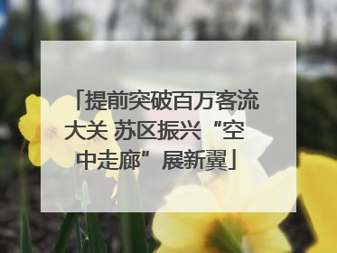 提前突破百万客流大关 苏区振兴“空中走廊”展新翼