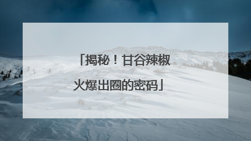 揭秘！甘谷辣椒火爆出圈的密码