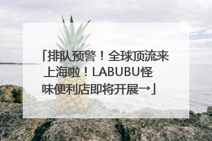 排队预警！全球顶流来上海啦！LABUBU怪味便利店即将开展→