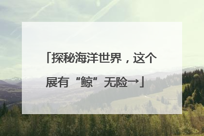 探秘海洋世界，这个展有“鲸”无险→