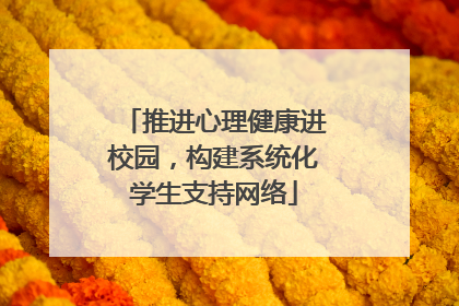 推进心理健康进校园，构建系统化学生支持网络