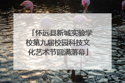 怀远县新城实验学校第九届校园科技文化艺术节圆满落幕
