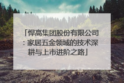 悍高集团股份有限公司：家居五金领域的技术深耕与上市进阶之路