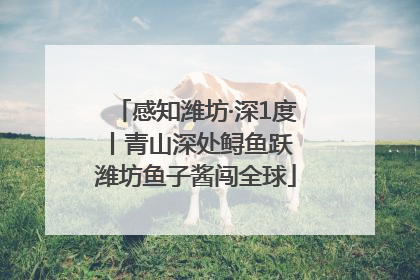 感知潍坊·深1度丨青山深处鲟鱼跃 潍坊鱼子酱闯全球
