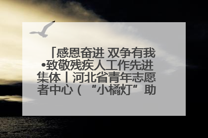 感恩奋进 双争有我•致敬残疾人工作先进集体丨河北省青年志愿者中心（“小橘灯”助残接力计划实施团队）：用温暖陪伴，守护特殊孩子成长