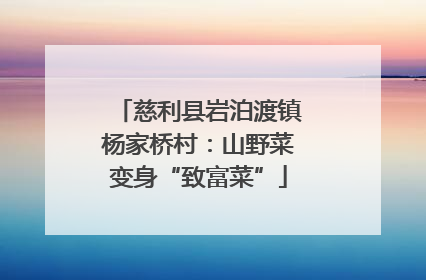 慈利县岩泊渡镇杨家桥村：山野菜变身“致富菜”