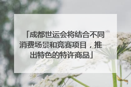 成都世运会将结合不同消费场景和竞赛项目，推出特色的特许商品