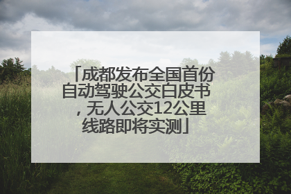 成都发布全国首份自动驾驶公交白皮书，无人公交12公里线路即将实测