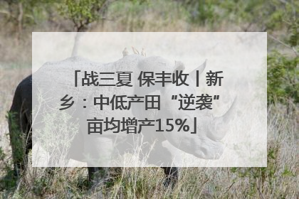 战三夏 保丰收丨新乡：中低产田“逆袭” 亩均增产15%