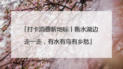 打卡消费新地标丨衡水湖边走一走，有水有鸟有乡愁