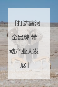 打造唐河金品牌 带动产业大发展