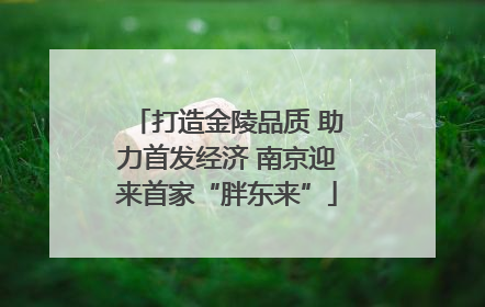 打造金陵品质 助力首发经济 南京迎来首家“胖东来”