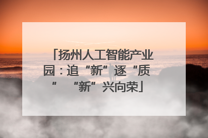 扬州人工智能产业园：追“新”逐“质” “新”兴向荣