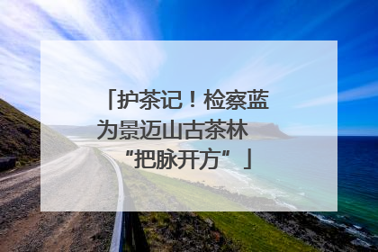 护茶记！检察蓝为景迈山古茶林 “把脉开方”