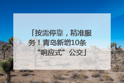 按需停靠，精准服务！青岛新增10条“响应式”公交