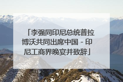 李强同印尼总统普拉博沃共同出席中国－印尼工商界晚宴并致辞