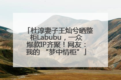 杜淳妻子王灿兮晒整柜Labubu，一众爆款IP齐聚！网友：我的 “梦中情柜”