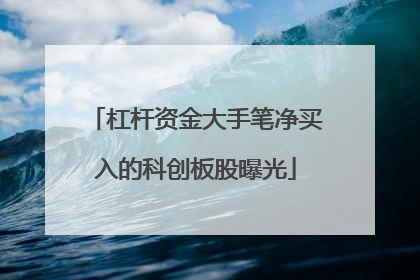 杠杆资金大手笔净买入的科创板股曝光