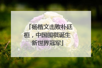 杨楷文击败朴廷桓，中国围棋诞生新世界冠军
