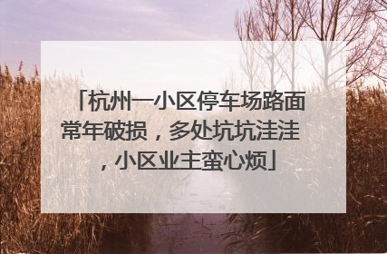 杭州一小区停车场路面常年破损，多处坑坑洼洼，小区业主蛮心烦