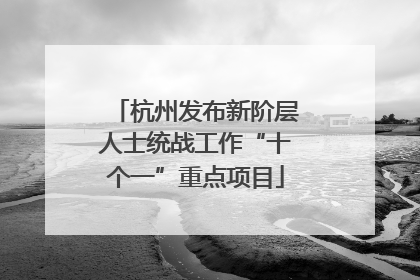 杭州发布新阶层人士统战工作“十个一”重点项目