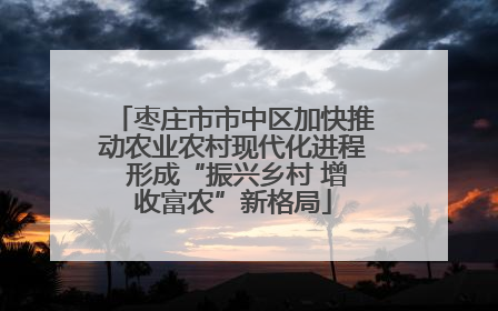 枣庄市市中区加快推动农业农村现代化进程 形成“振兴乡村 增收富农”新格局