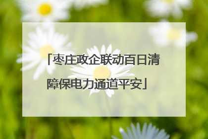 枣庄政企联动百日清障保电力通道平安