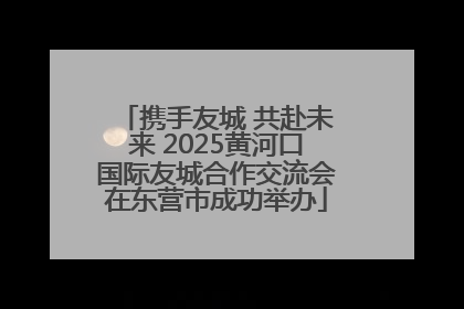 携手友城 共赴未来 2025黄河口国际友城合作交流会在东营市成功举办
