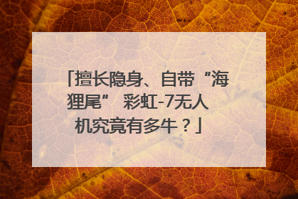 擅长隐身、自带“海狸尾” 彩虹-7无人机究竟有多牛？