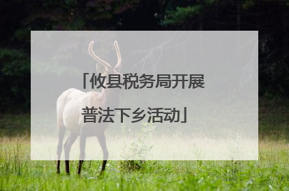 攸县税务局开展普法下乡活动