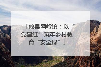 攸县网岭镇：以“党建红”筑牢乡村教育“安全绿”