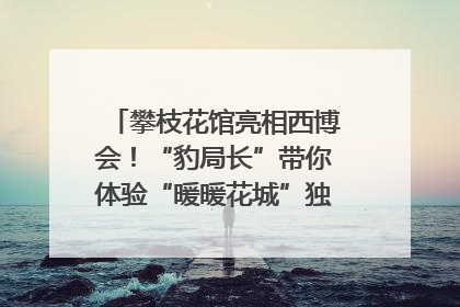 攀枝花馆亮相西博会！“豹局长”带你体验“暖暖花城”独特魅力｜西博视界