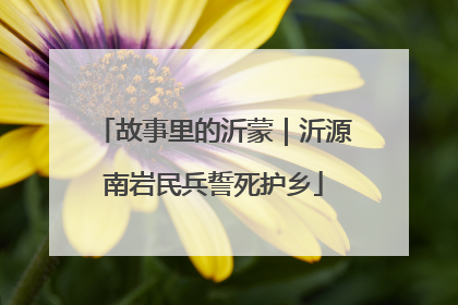 故事里的沂蒙｜沂源南岩民兵誓死护乡