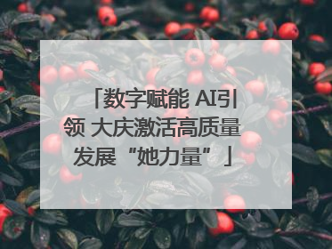 数字赋能 AI引领 大庆激活高质量发展“她力量”