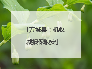方城县：机收减损保粮安