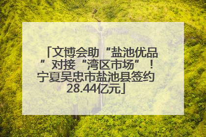 文博会助“盐池优品”对接“湾区市场”！宁夏吴忠市盐池县签约28.44亿元