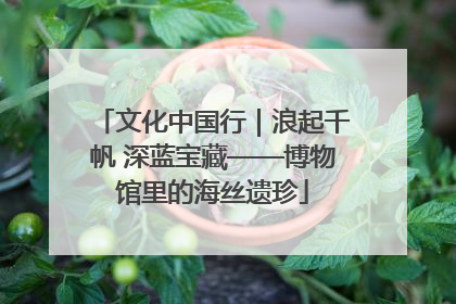 文化中国行｜浪起千帆 深蓝宝藏——博物馆里的海丝遗珍