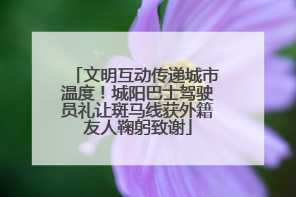 文明互动传递城市温度！城阳巴士驾驶员礼让斑马线获外籍友人鞠躬致谢