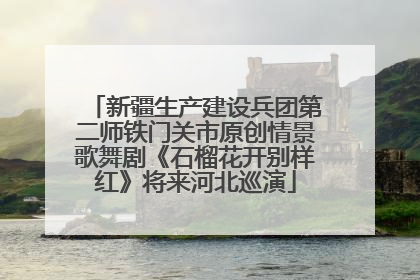 新疆生产建设兵团第二师铁门关市原创情景歌舞剧《石榴花开别样红》将来河北巡演