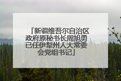 新疆维吾尔自治区政府原秘书长周旭勇已任伊犁州人大常委会党组书记