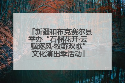 新疆和布克赛尔县举办“石榴花开·云骥逐风·牧野欢歌”文化演出季活动