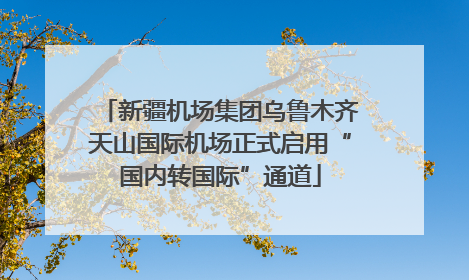 新疆机场集团乌鲁木齐天山国际机场正式启用“国内转国际”通道