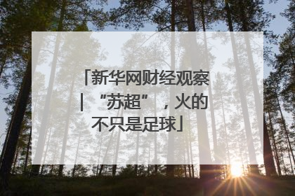 新华网财经观察｜“苏超”，火的不只是足球