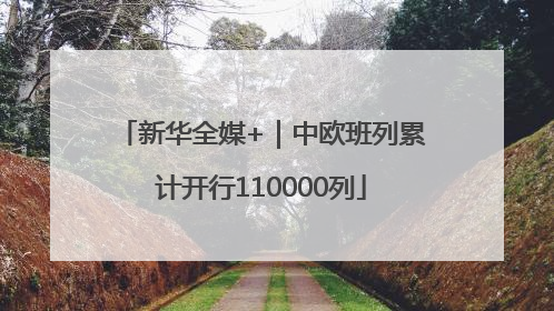 新华全媒+｜中欧班列累计开行110000列