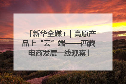 新华全媒+｜高原产品上“云”端——西藏电商发展一线观察