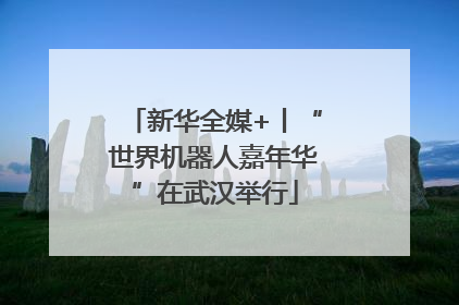 新华全媒+丨“世界机器人嘉年华”在武汉举行