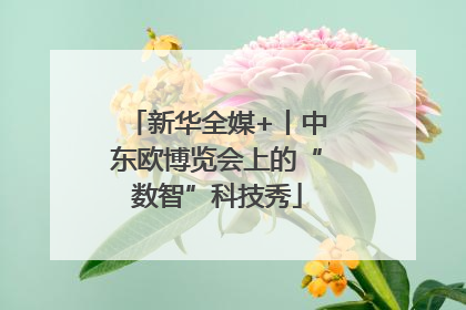 新华全媒+丨中东欧博览会上的“数智”科技秀