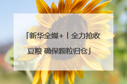 新华全媒+丨全力抢收夏粮 确保颗粒归仓